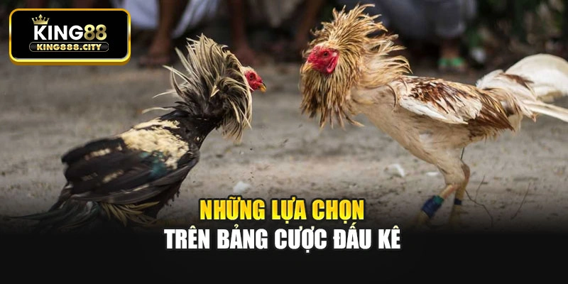 Những lựa chọn trên bảng cược đấu kê