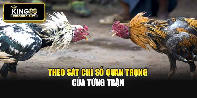 Theo sát chỉ số quan trọng của từng trận